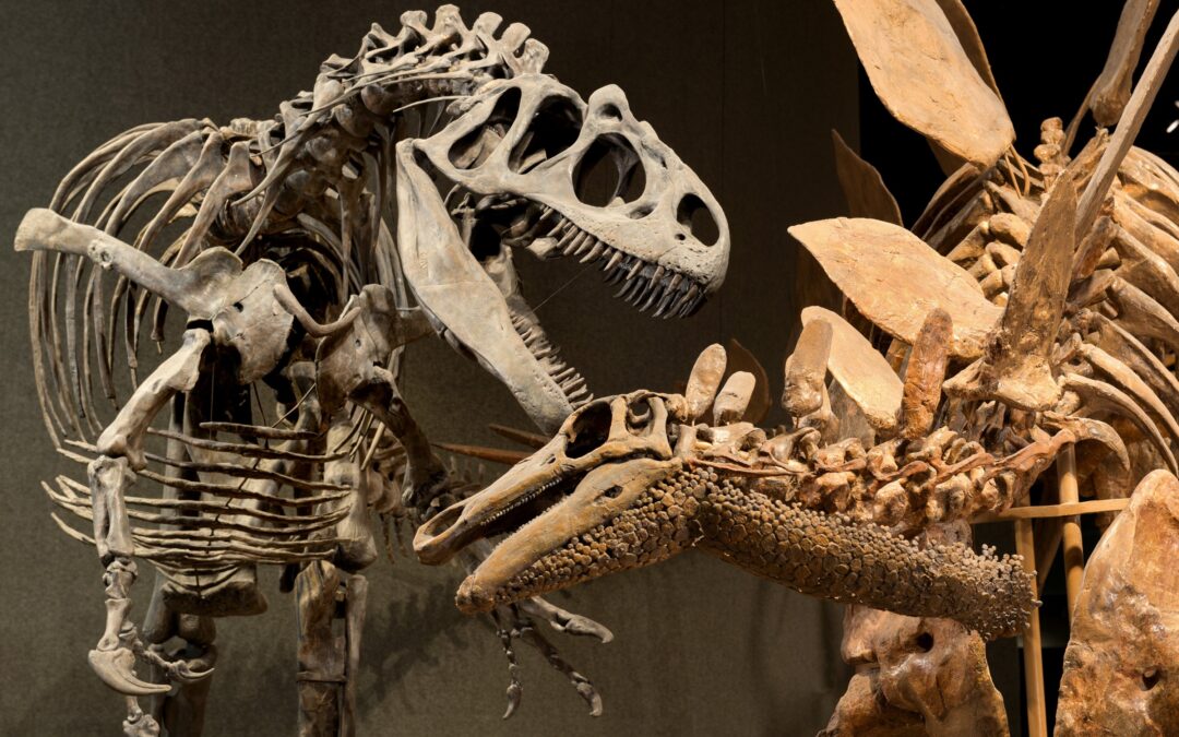 Colorado, tierra de dinosaurios: descubre cuales fueron las especies que dominaron el estado en la era prehistórica