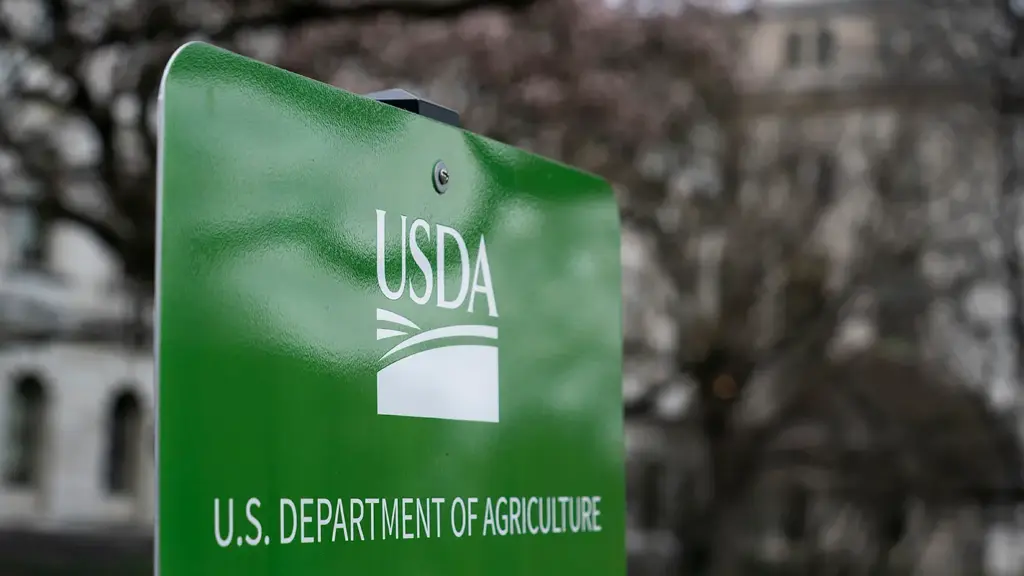 Colorado demanda al USDA por intento de acceder a datos confidenciales de familias vulnerables Colorado demanda al USDA por intento de acceder a datos confidenciales de familias vulnerables
