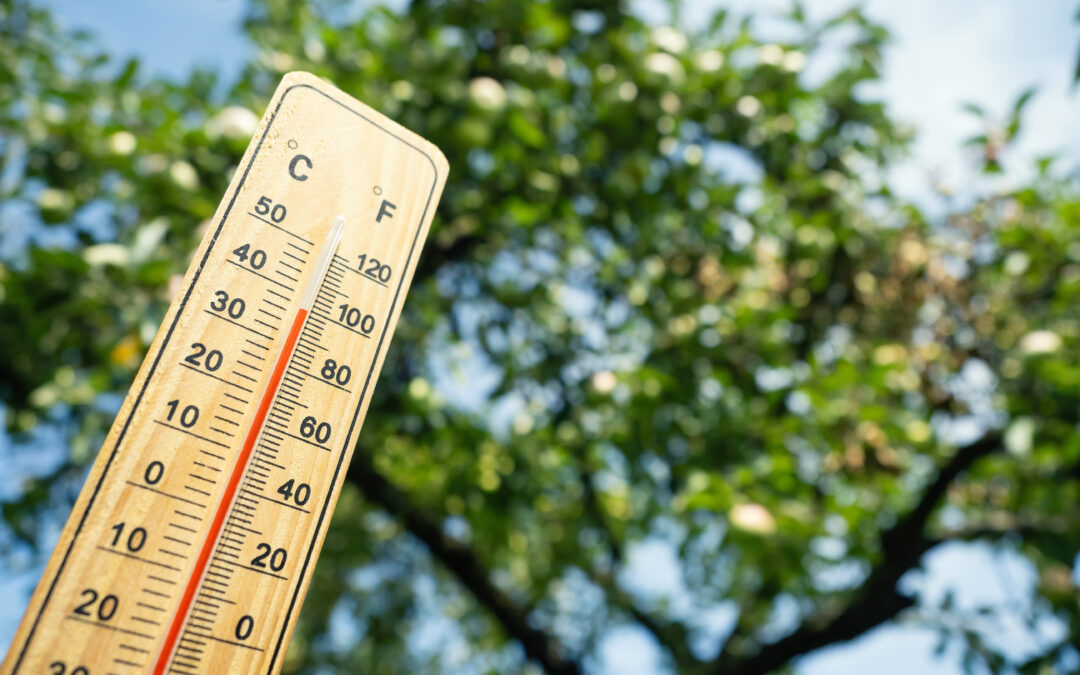 Denver activa centros de enfriamiento ante ola de calor de 100 grados y alerta por riesgos a la salud