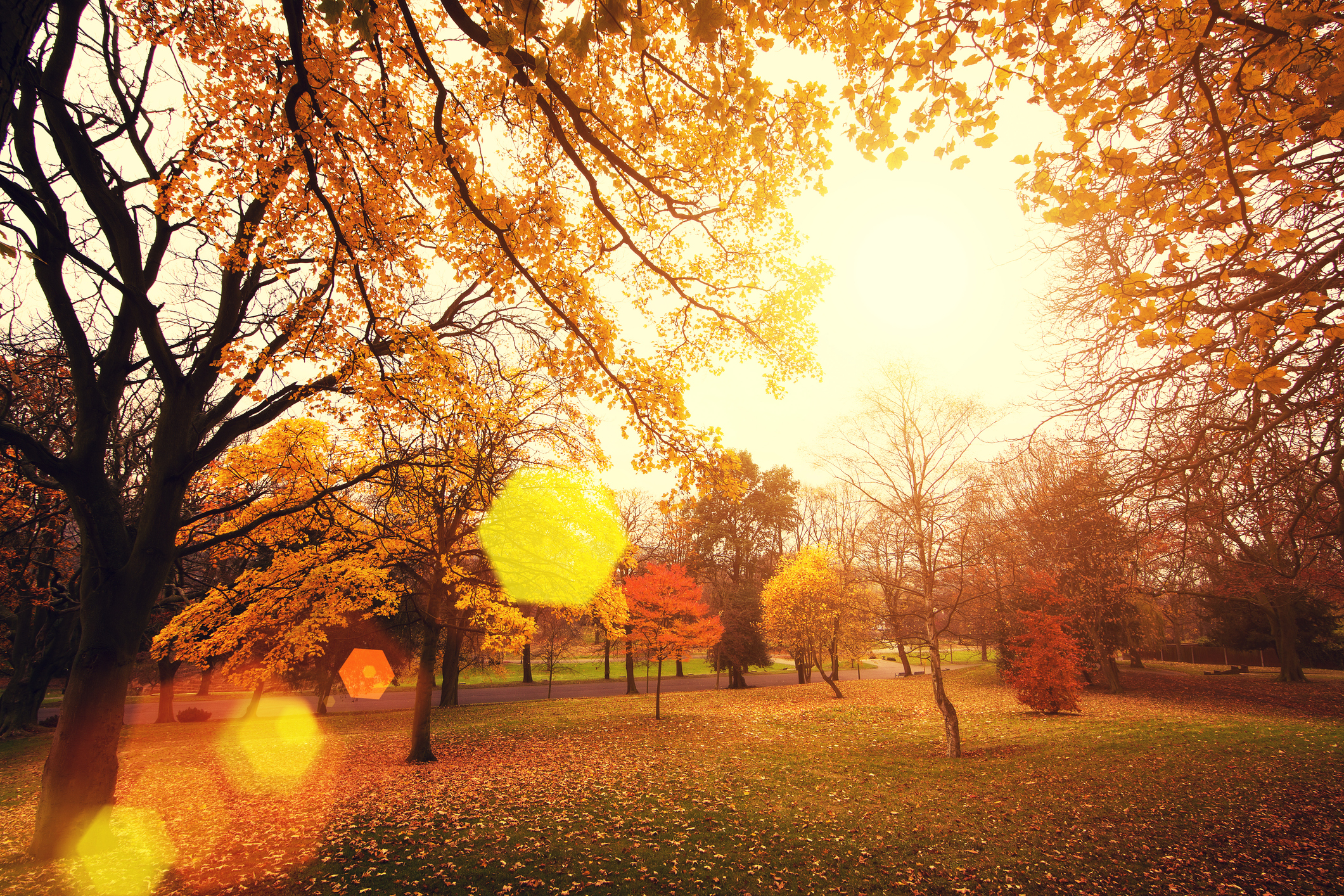 La Luz Solar en Denver: ¿Cuánto Tiempo Perdemos Cada Día Hasta el Invierno?