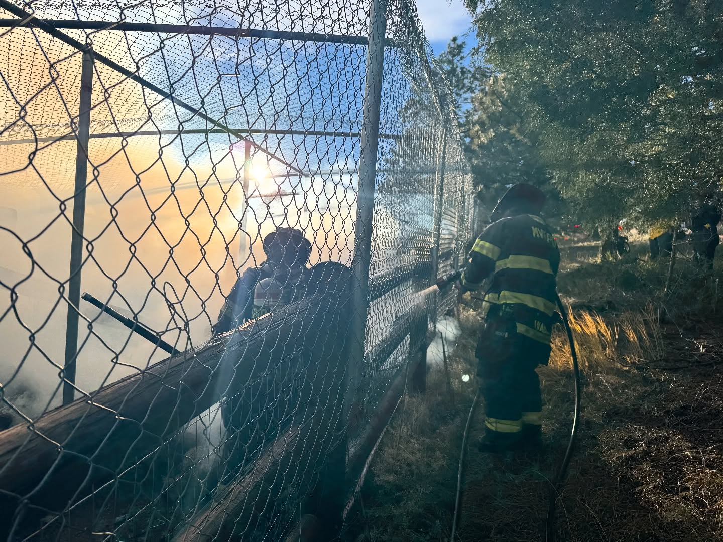 Cuidador Héroe Rescata Animales Durante Incendio en Boulder, Flagstaff Road
