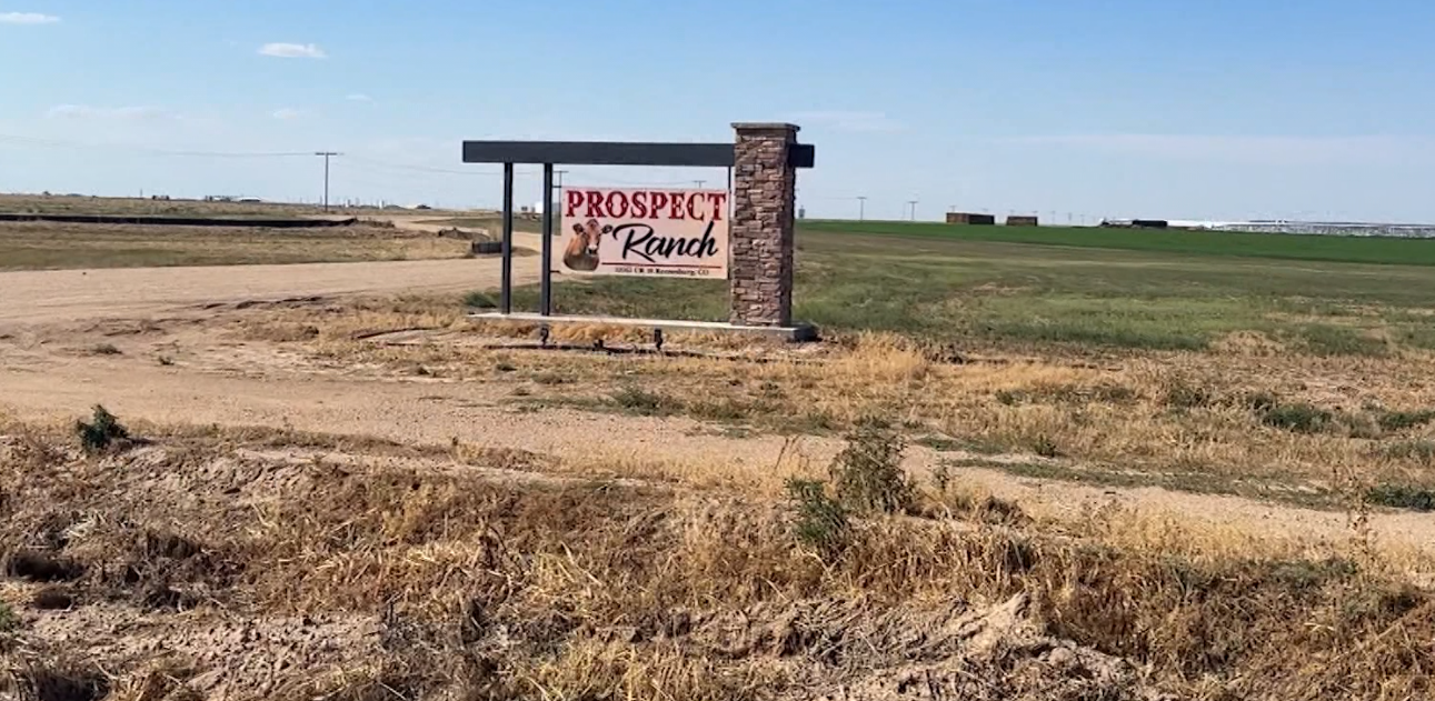 Tragedia en Weld County: Seis Muertos por Exposición a Gas Tóxico en Operación Lechera