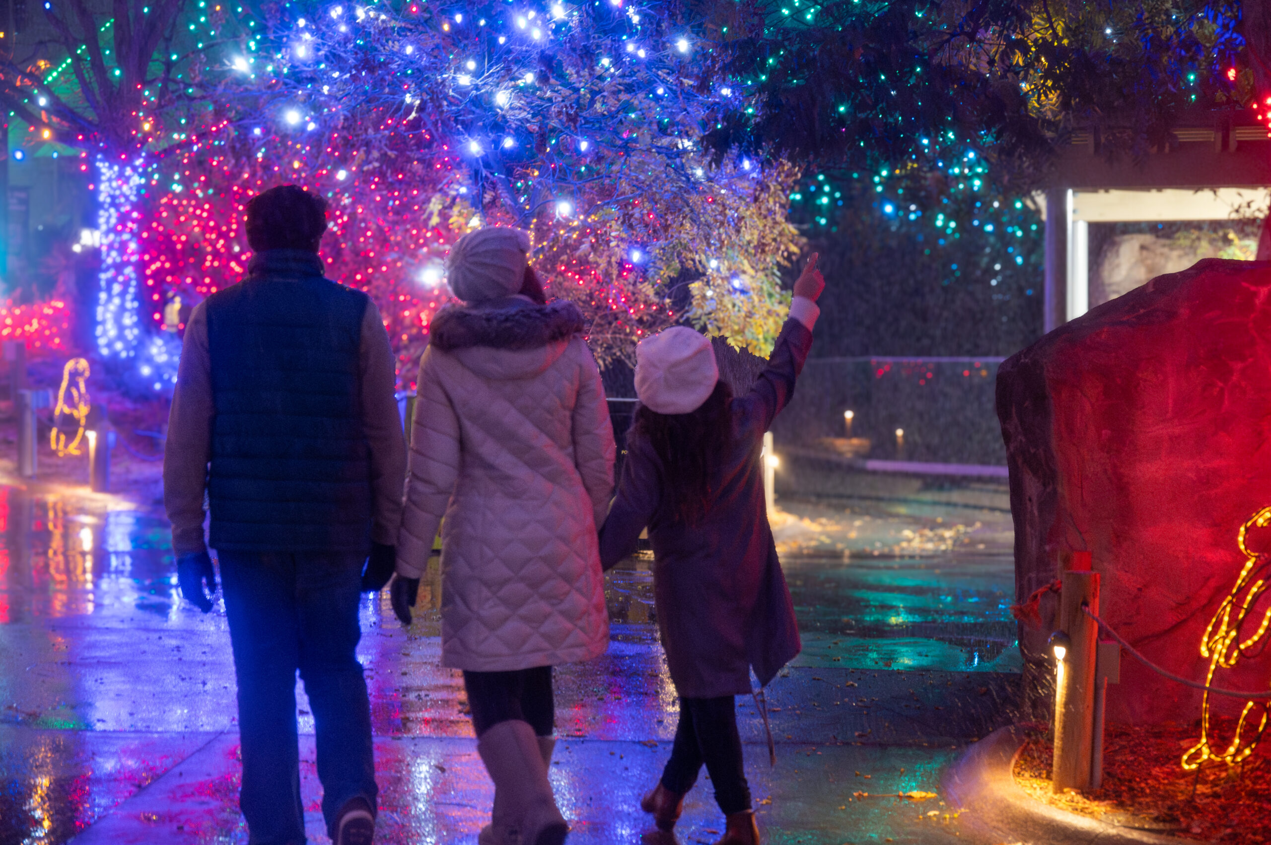 Descubre la Magia de la Navidad: Compra Tus Boletos para Zoo Lights Denver 2025
