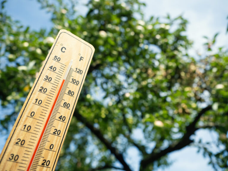 Calor y falta de aire acondicionado llevan a cambiar el calendario escolar en Thompson School Distric para el 2026-2027