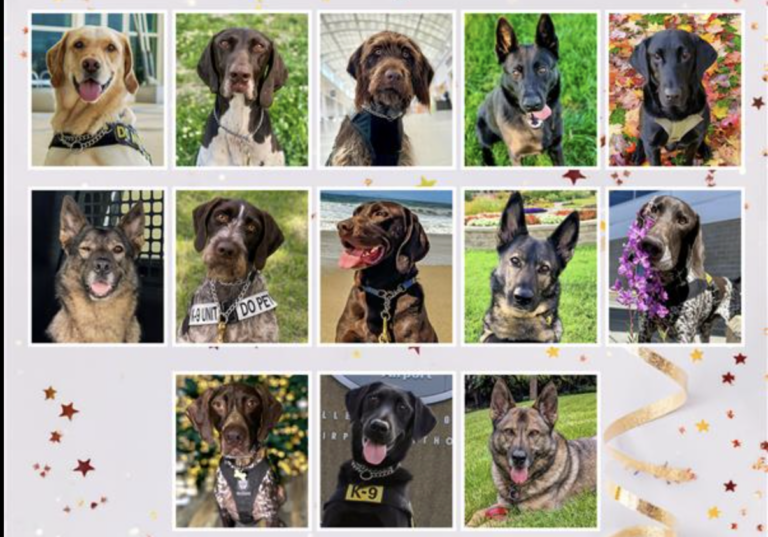 Perro K-9 del aeropuerto de Denver protagoniza el calendario 2026 de la TSA