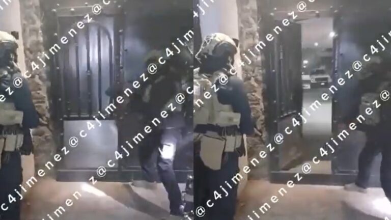 Nacen Perritos Durante Operativo en Xochimilco: Hallan Armamento y Drogas del Cártel de Sinaloa