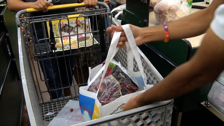 La Nueva Ley de California Prohíbe las Bolsas de Plástico en Supermercados