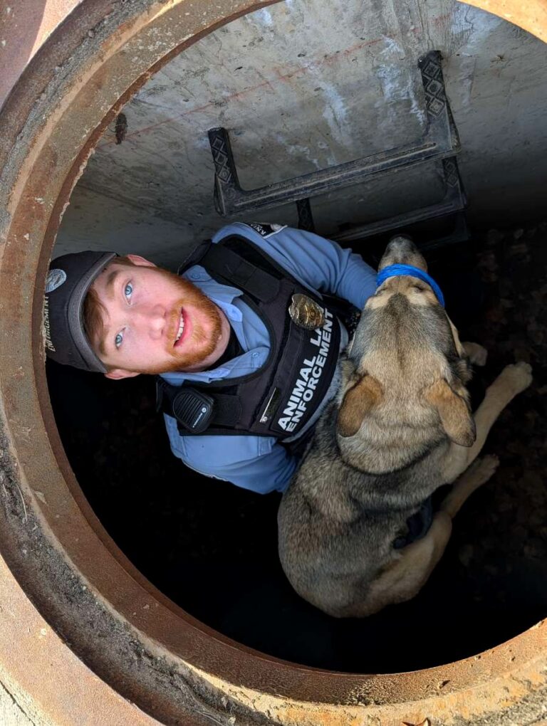 Rescate animal devuelve a casa a una perrita atrapada en una alcantarilla en Colorado