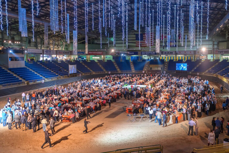 National Western Stock Show rompió récords de subastas con 1.8 millones de dólares en ventas y registró la mayor asistencia en sus 120 años de historia.