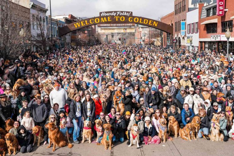 Golden celebra el mayor encuentro de golden retrievers y presenta sus nombres favoritos