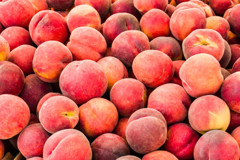 Propuesta en Colorado busca proteger a agricultores locales ante productos mal etiquetados