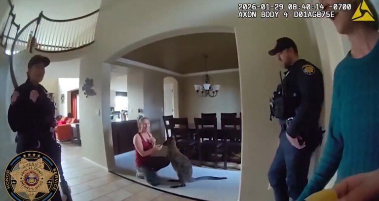 Canguro suelto en Highlands Ranch moviliza a alguaciles del condado de Douglas
