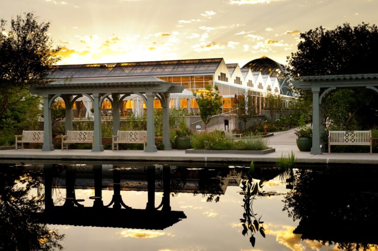 Denver Botanic Gardens anuncia cartelera 2026 de su Serie de Verano con 14 fechas