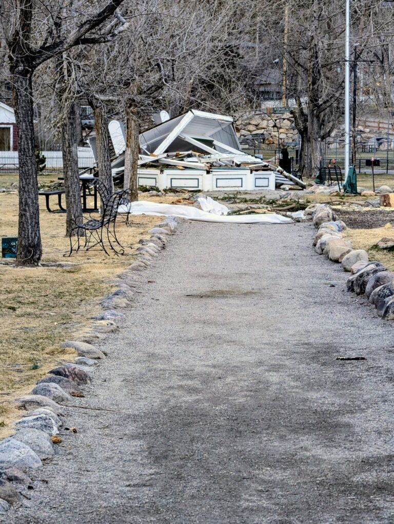 Vientos derriban árbol histórico en Colorado y destruyen emblemática estructura