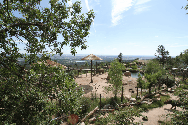 Zoológico de Colorado Springs es el segundo mejor de Estados Unidos por segundo año