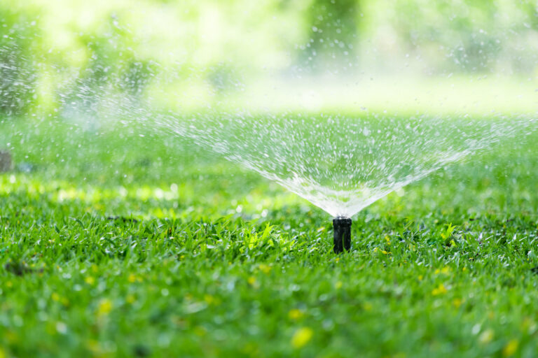 Aurora considera implementar restricciones estrictas de agua ante sequía
