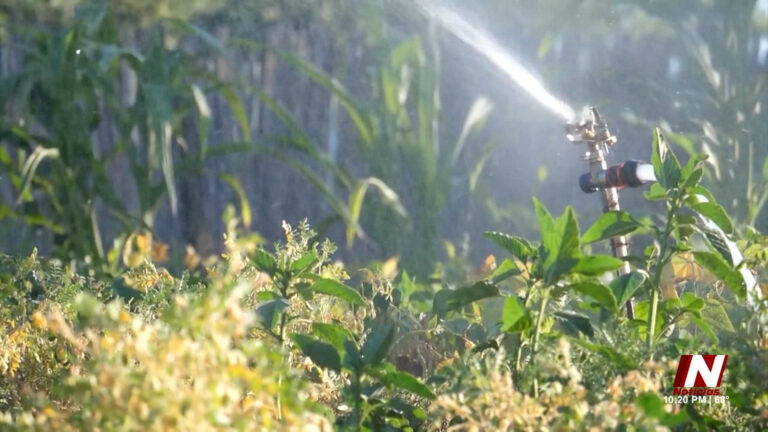 Aurora propone restricciones de agua ante sequía: buscan reducir consumo en 20%