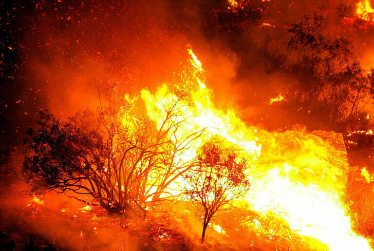 Destinan $12 millones de fondos de nieve a prevención de incendios forestales en Colorado
