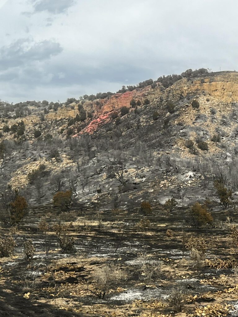 Reabre Highway 115 tras incendio 24 Fire cerca de Colorado Springs; fuego alcanza 44% de contención
