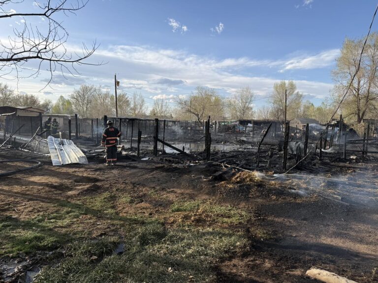 Mueren varios animales de granja en un incendio en Fort Lupton