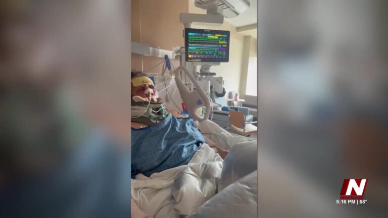 Ataque De Perros Deja A Mujer En Condición Crítica En Aurora