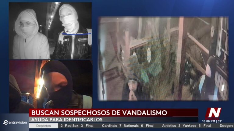 Vandalismo En El Condado De Wild: Autoridades Buscan Sugerencias De La Comunidad