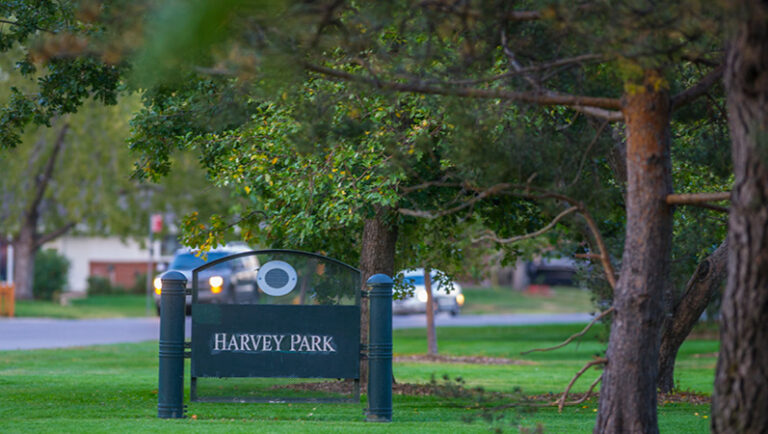 Harvey Park contará con nuevo mercado de agrícultores a partir de mayo