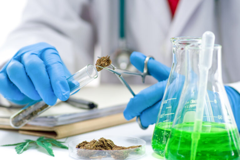 Reguladores anuncian ofensiva contra productos de cáñamo intoxicante en la industria de la marihuana