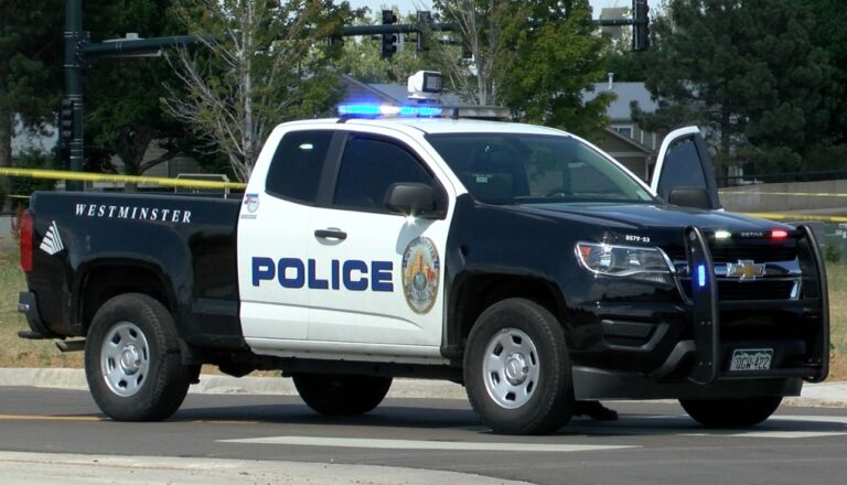 Hombre de 23 años muere tras ser puesto bajo custodia protectora por la policía de Westminster