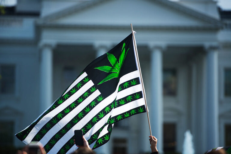 Nueva clasificación federal de productos de marihuana, ¿qué cambios traerá?