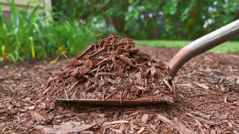 Ciudad de Denver ofrecerá mulch y compost gratis el 2 de mayo para residentes