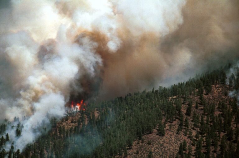 Colorado enfrenta una temporada de incendios forestales