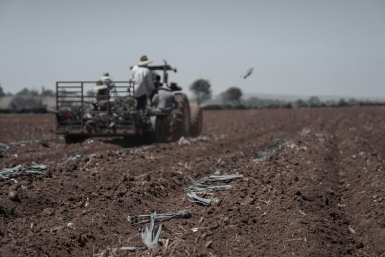 Agricultores de Colorado reportan pérdidas totales tras helada de Abril
