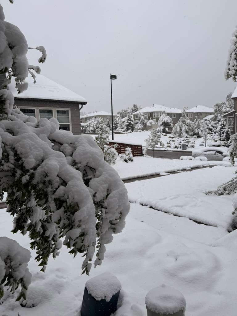 Tormenta de primavera en Denver causa apagones, retrasos y afectaciones de tránsito