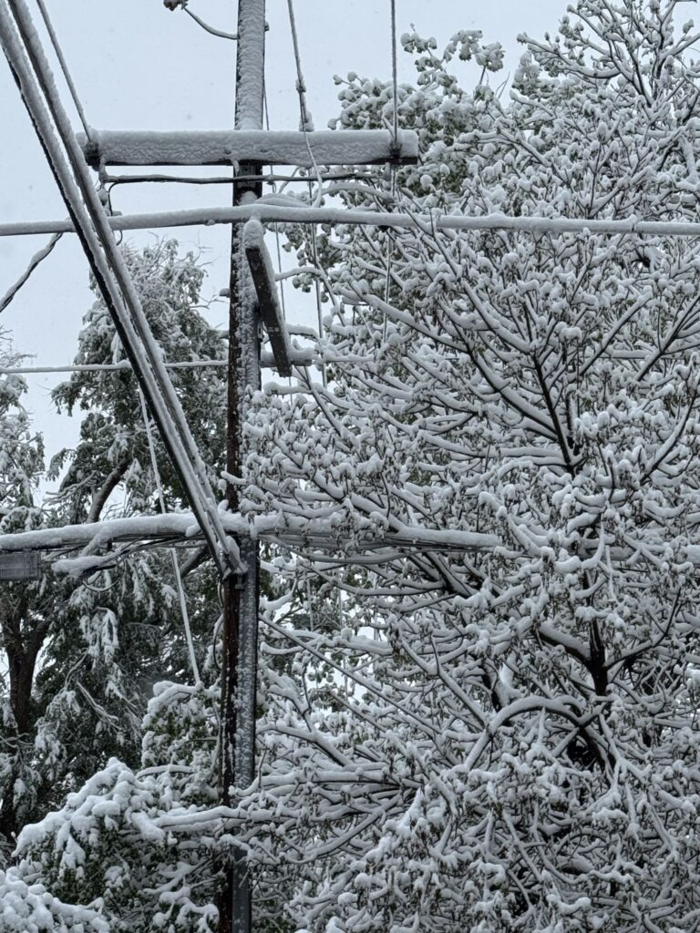 Tormenta de nieve en Colorado deja más de 55,000 usuarios sin electricidad, informa Xcel Energy