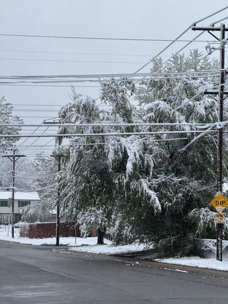 Habilitan centros para desechar ramas y escombros tras tormenta de nieve primaveral que causó daños y apagones
