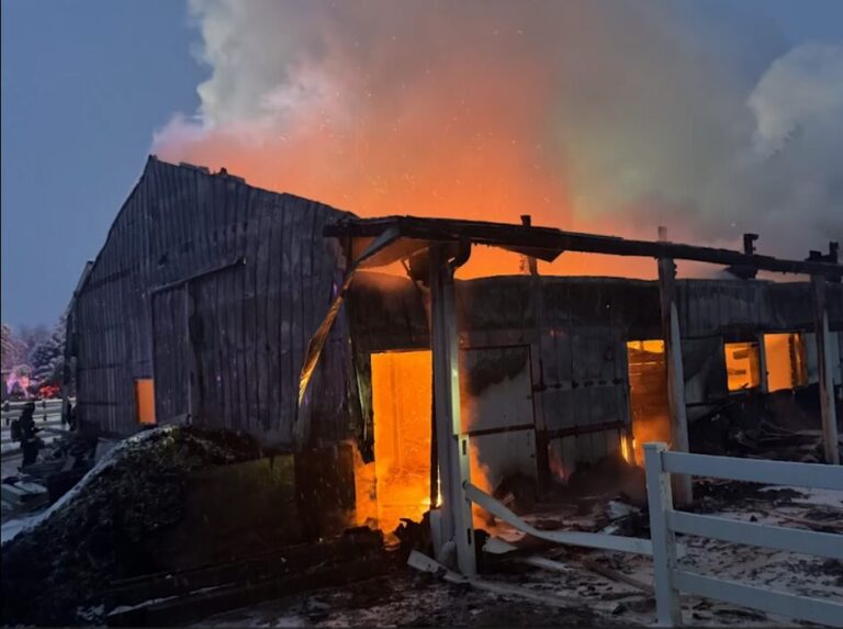 Incendio en granero del Condado Larimer deja un caballo herido y provoca $400 mil en daños