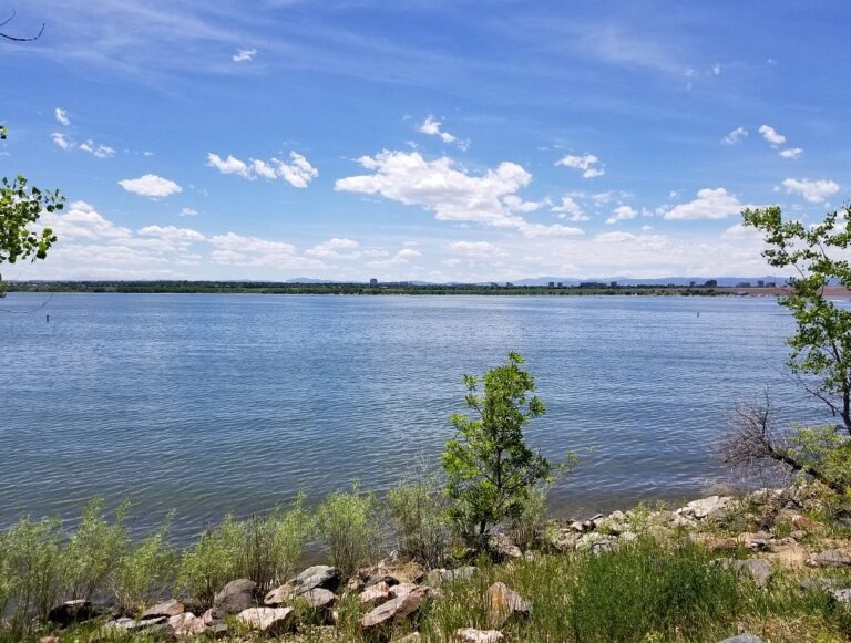 Sospechoso de DUI choca contra vehículos de oficiales en Cherry Creek State Park y deja un herido
